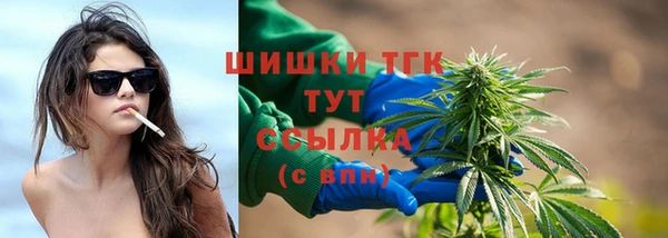 гидра Балахна