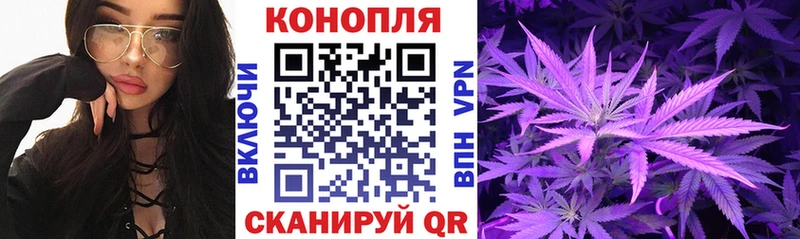 закладка  гидра как зайти  Шишки марихуана гибрид  Суворов 